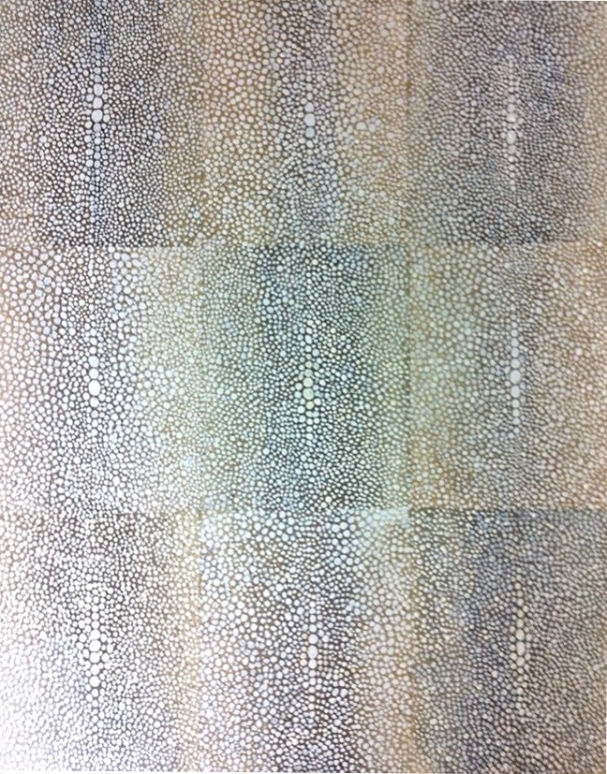 Shagreen (Shark skin) faux finish CT NY