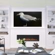 Painted New England Seagull on Canvas 30